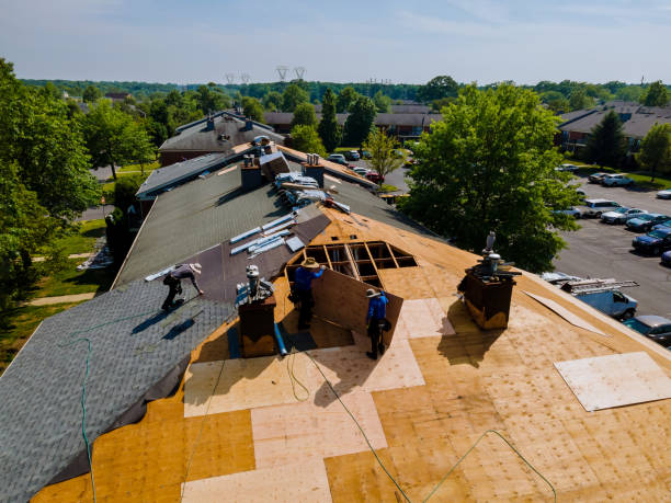 Trusted Emergency Roof Repair service in University Place, WA - Brentwood Metal Roofing